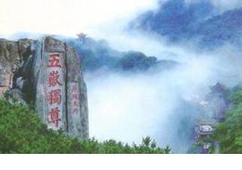 活动海报