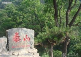 活动海报