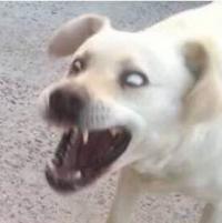 头像图片